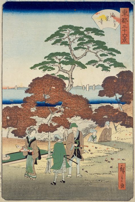 Samezu2_2