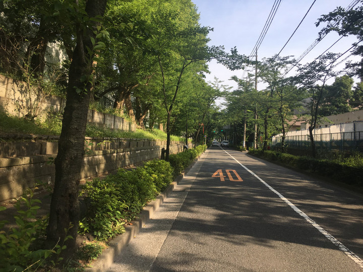 36790329_856308054548229_7368347091