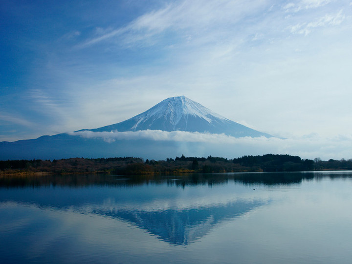Fuji561